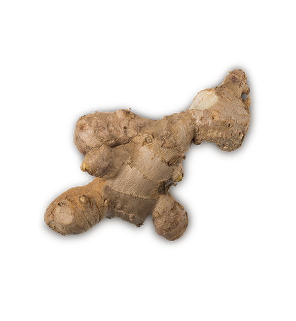 Ginger - US 9143