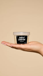 Daisy Daikon - US 2452