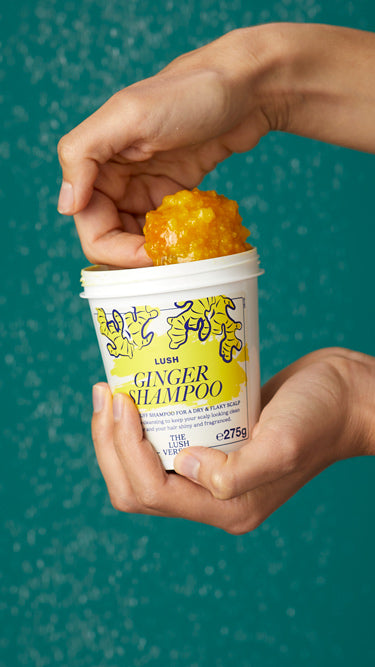 Ginger - US 1259