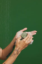 Squeaky Green - US 5680