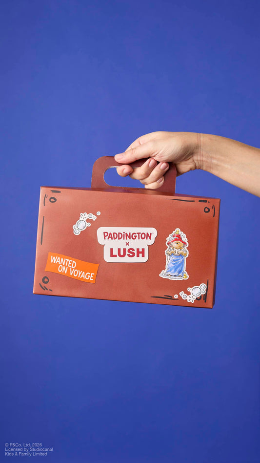 Suitcase - US 6409