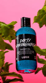Dirty Springwash - US 8148