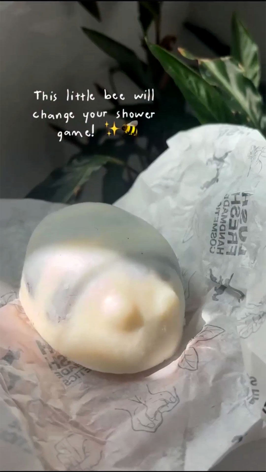 Scrubee - US 6265