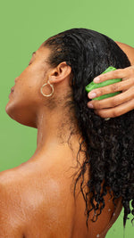 Avocado - US 5076