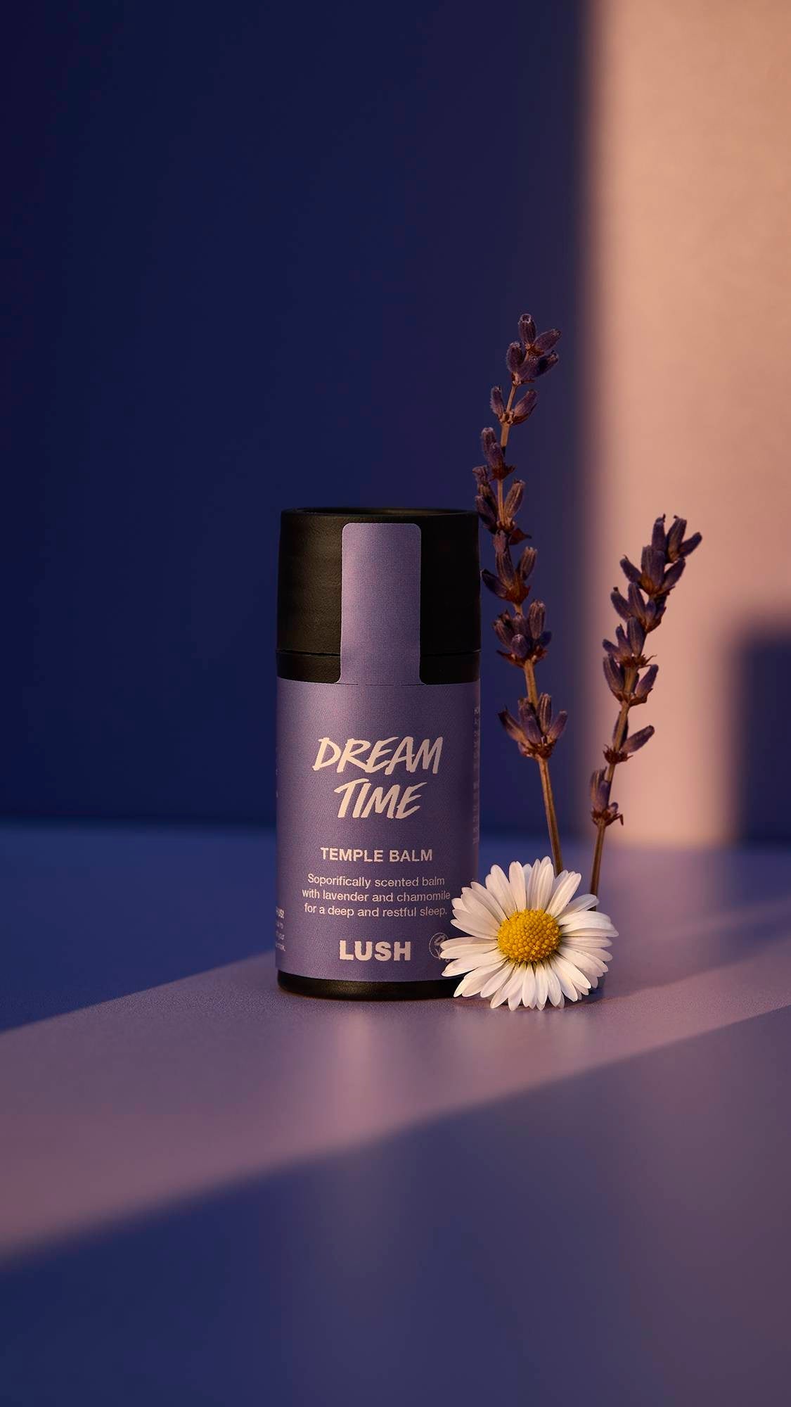 Dream Time - US 4410