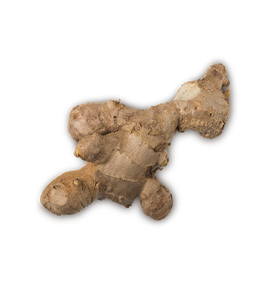 Ginger - US 9143