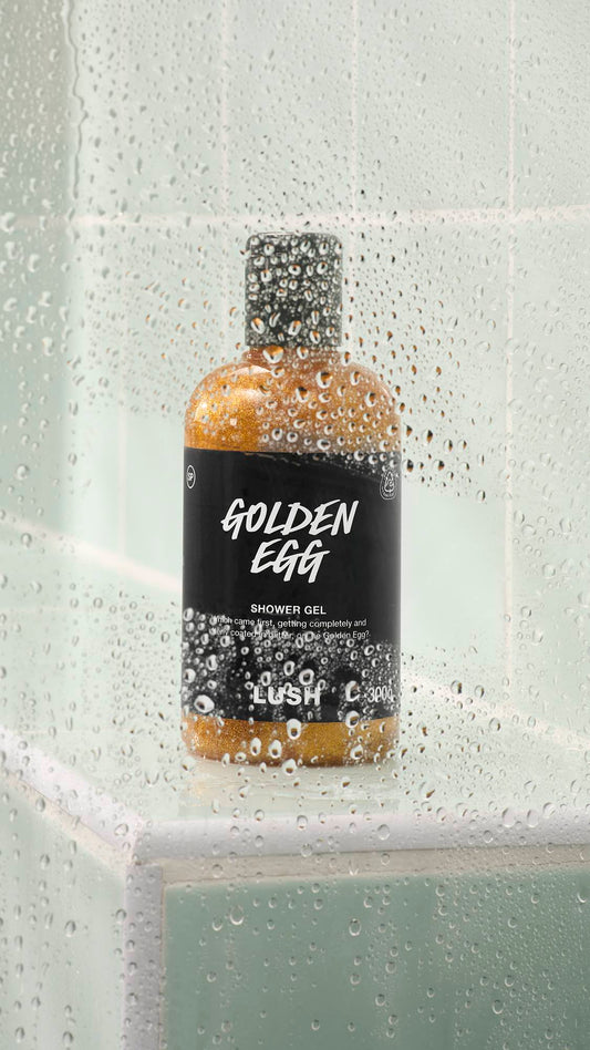 Golden Egg - US 9503