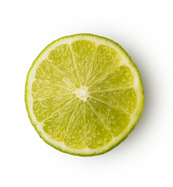 Refresher - US 4958
