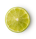 Refresher - US 4958