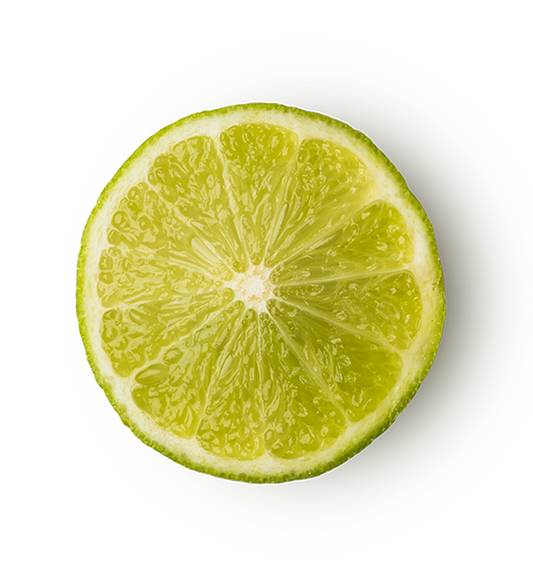 Refresher - US 4958