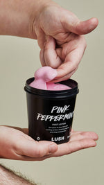 Pink Peppermint - US 3131