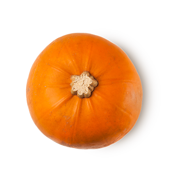 Autumn Date - US 9053