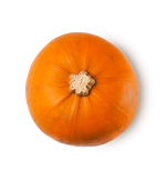Autumn Date - US 9053