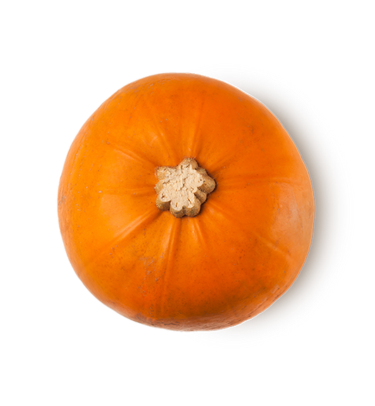 Autumn Date - US 9053