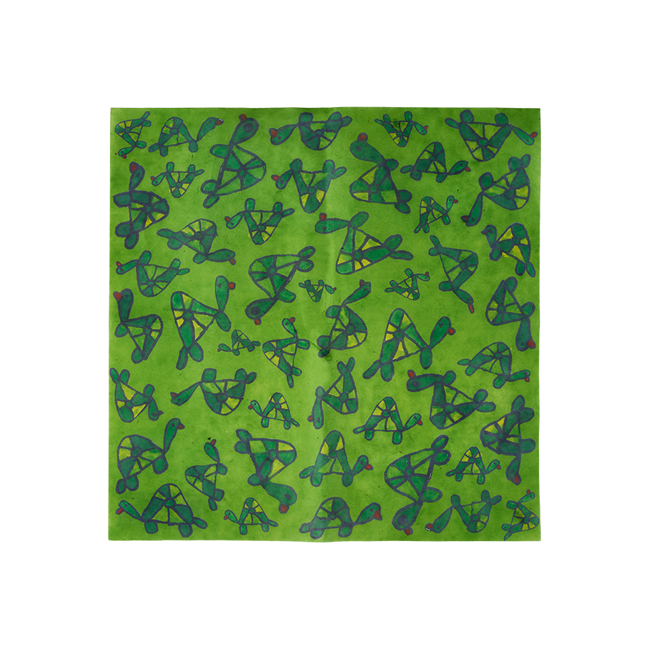 Turtley Awesome - US 5024