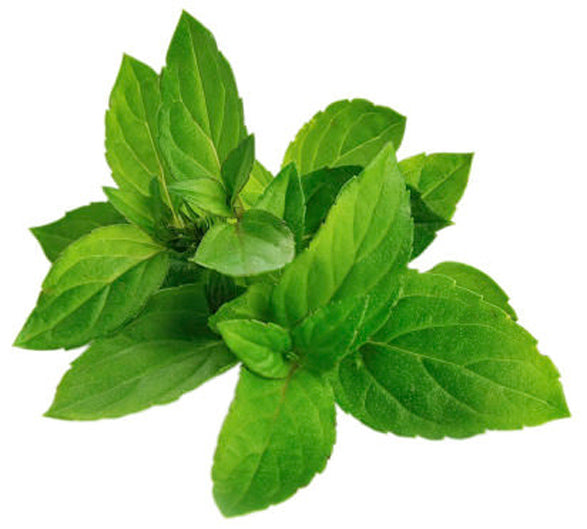 Dirty - US 2115